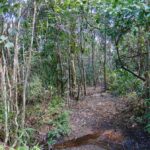 Casa com Riacho e Nascente à Venda no Morrão – Alto Paraíso de Goiás14