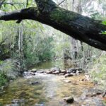 Casa com Riacho e Nascente à Venda no Morrão – Alto Paraíso de Goiás16