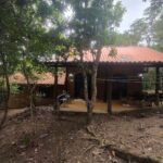 WhatsApp Image 2025-12-13 at 17.01.15