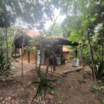 WhatsApp Image 2025-12-13 at 17.01.16 (1)