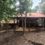 WhatsApp Image 2025-12-13 at 17.01.16