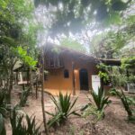 WhatsApp Image 2025-12-13 at 17.01.17