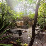 WhatsApp Image 2026-01-14 at 10.09.36