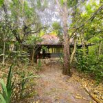 WhatsApp Image 2026-01-14 at 10.10.10